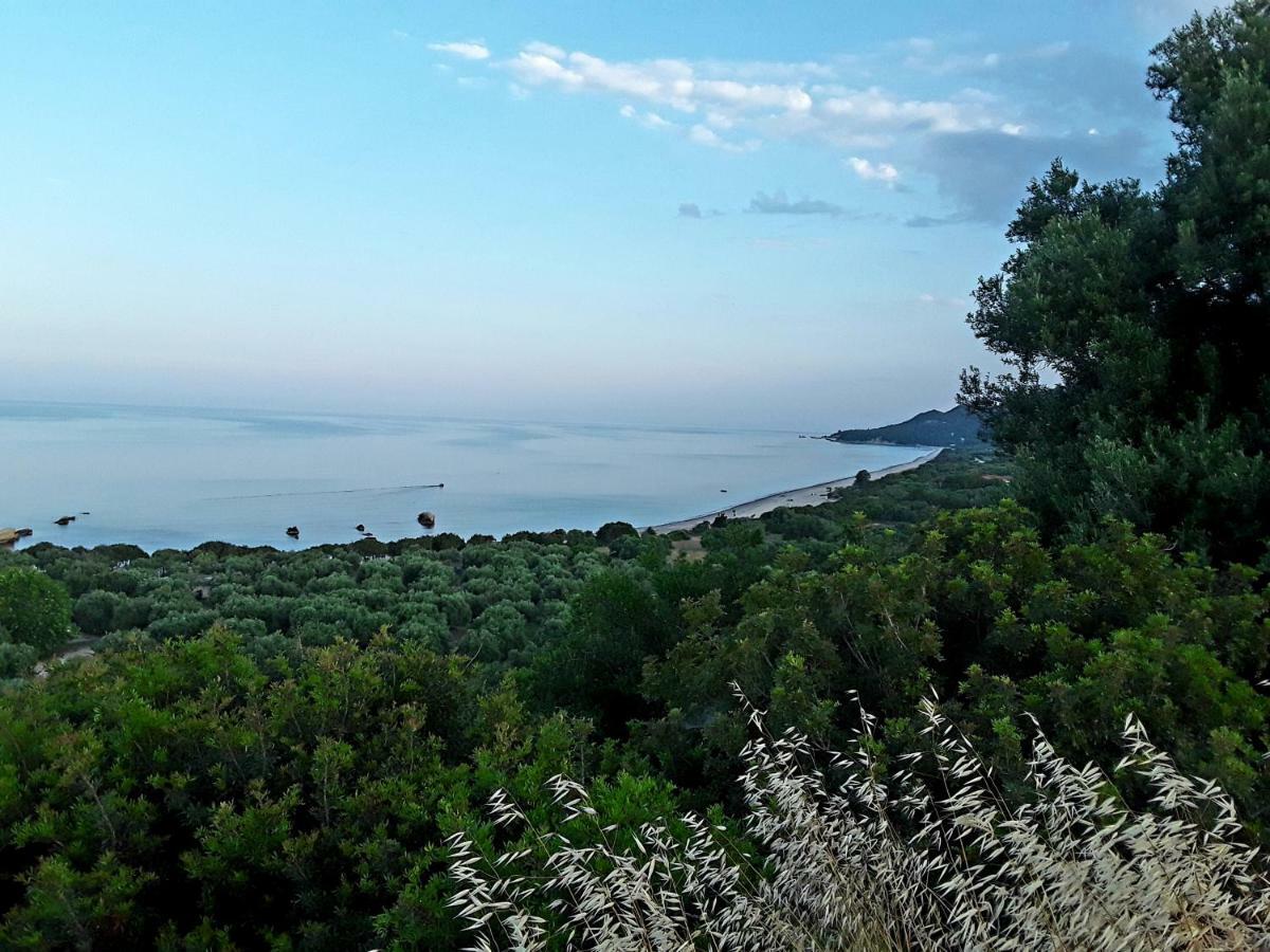 Athanasios Tsoumas Apartments Kastrosikia Exteriér fotografie
