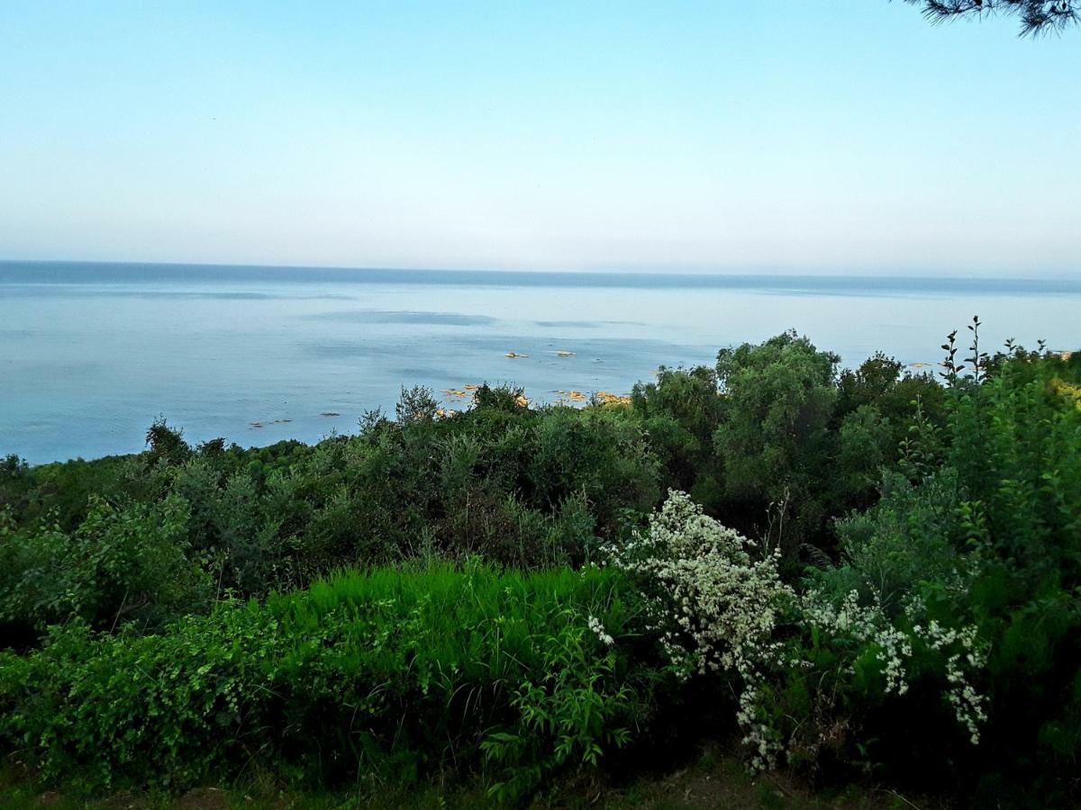 Athanasios Tsoumas Apartments Kastrosikia Exteriér fotografie