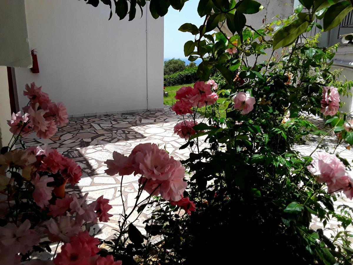 Athanasios Tsoumas Apartments Kastrosikia Exteriér fotografie
